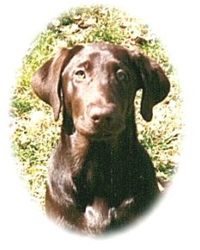 Skye