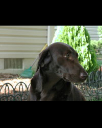 Hanna