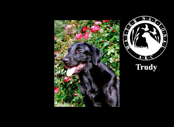 Trudy